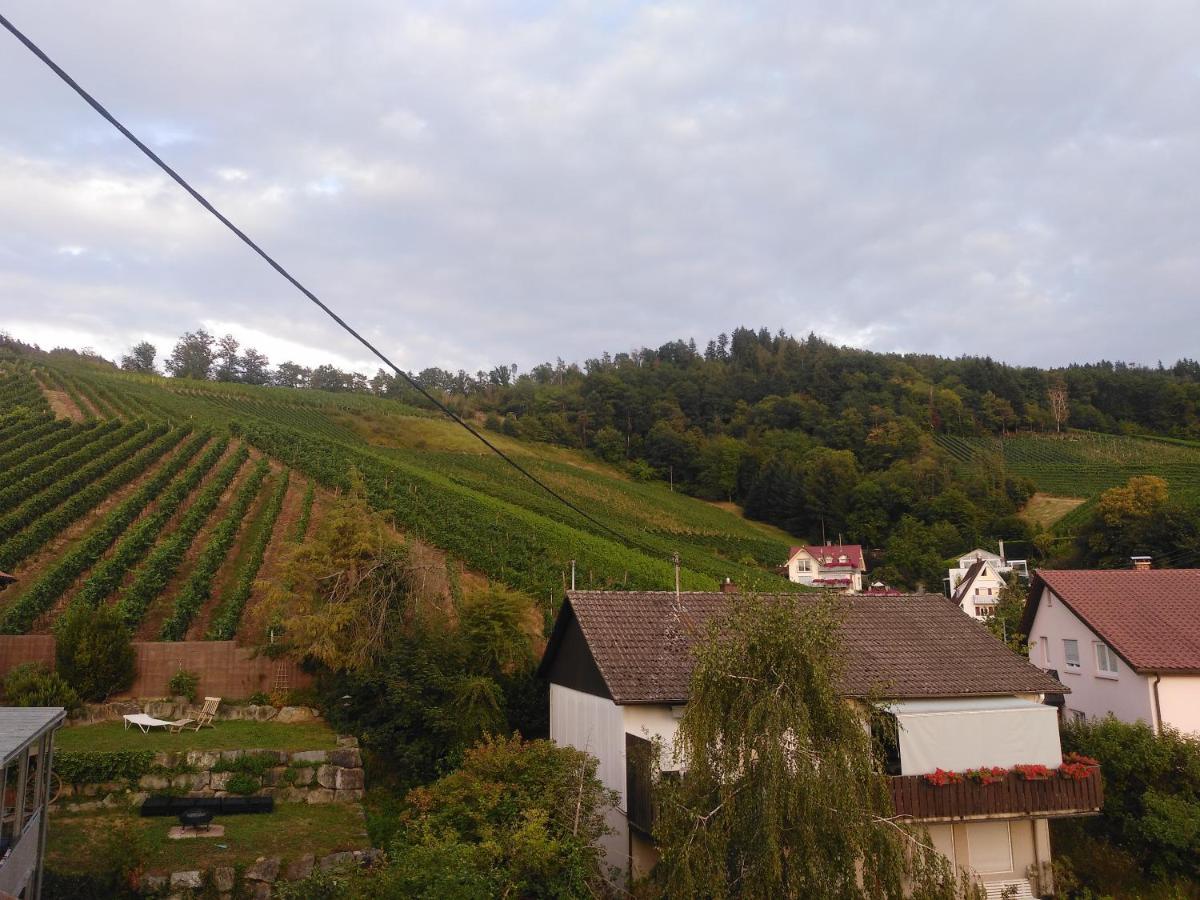 By Vollmer'S Komfortabel Und Chic Appartement Offenburg Buitenkant foto